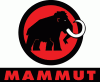 Wzrost przychodów Mammuta w 2008 roku