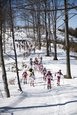 VII zawody Polar Sport Skitour im. Basi German (fot. Jarek Noga)
