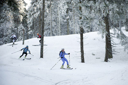 VII zawody Polar Sport Skitour im. Basi German (fot. Jarek Noga)